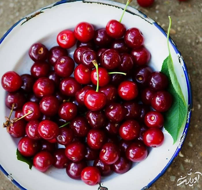 مواد مغذی موجود در آلبالو خواص آلبالو